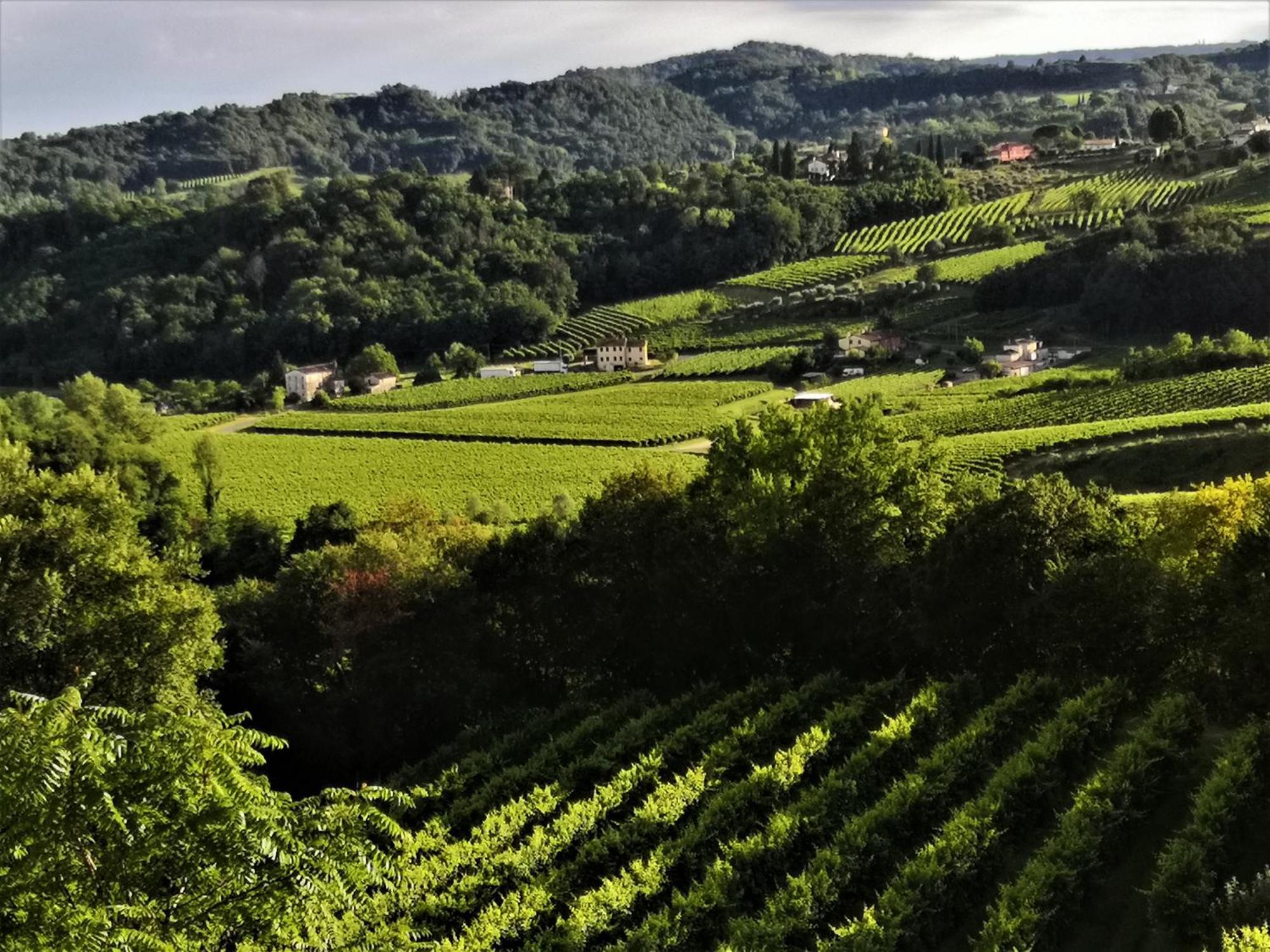 Hotel Locazione Lilibet Conegliano Zewnętrze zdjęcie